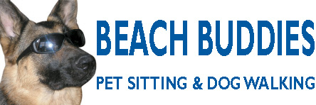Beach Buddies Logo for website 1x3